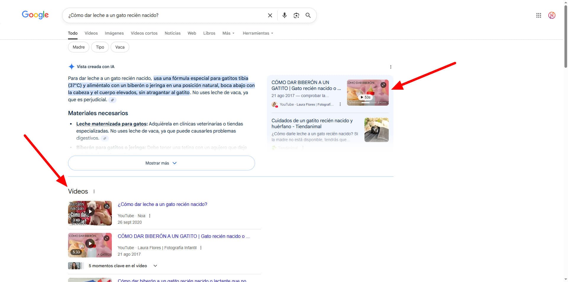 Ejemplo SEO con vídeos