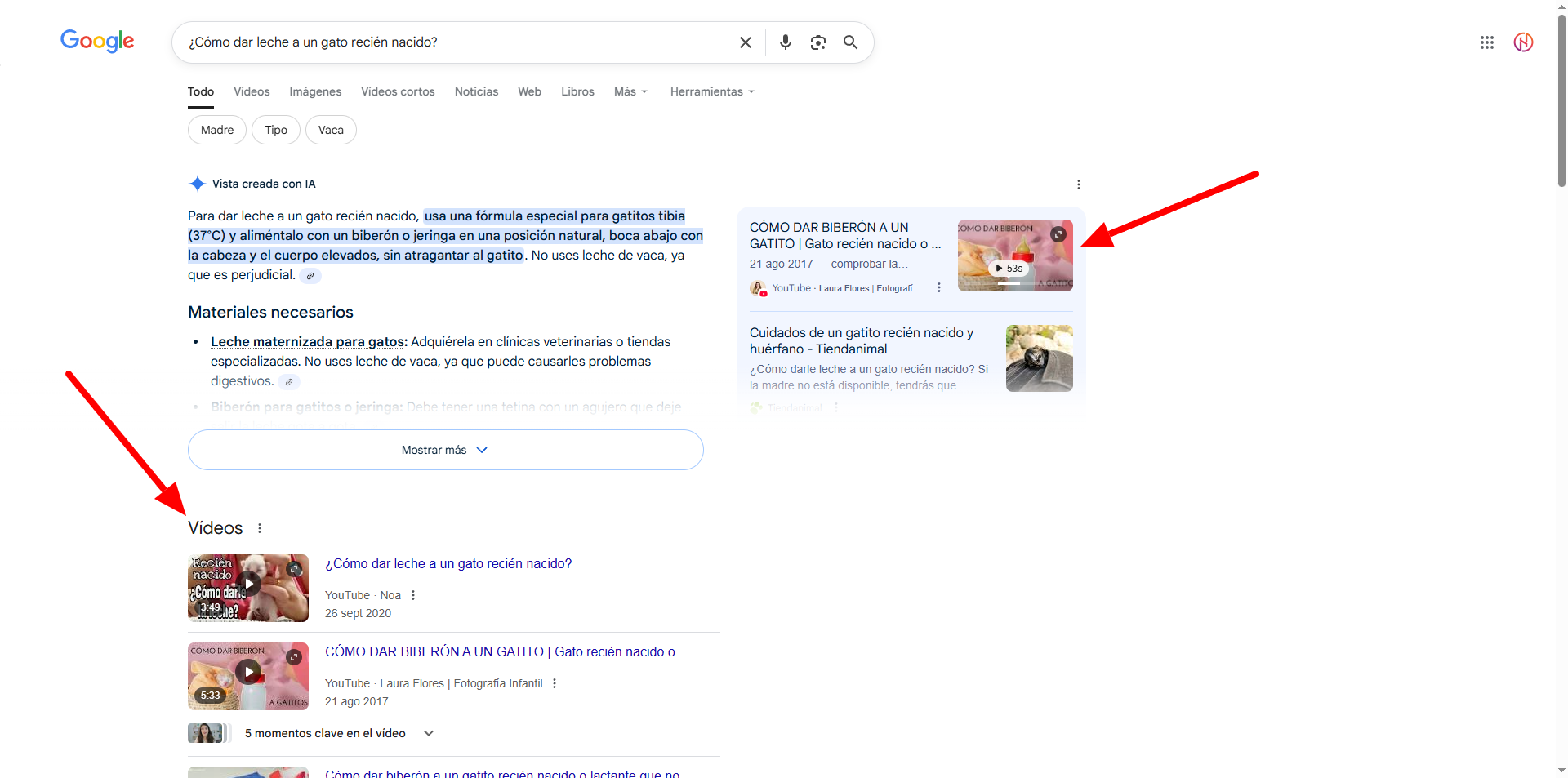 Ejemplo SEO con vídeos